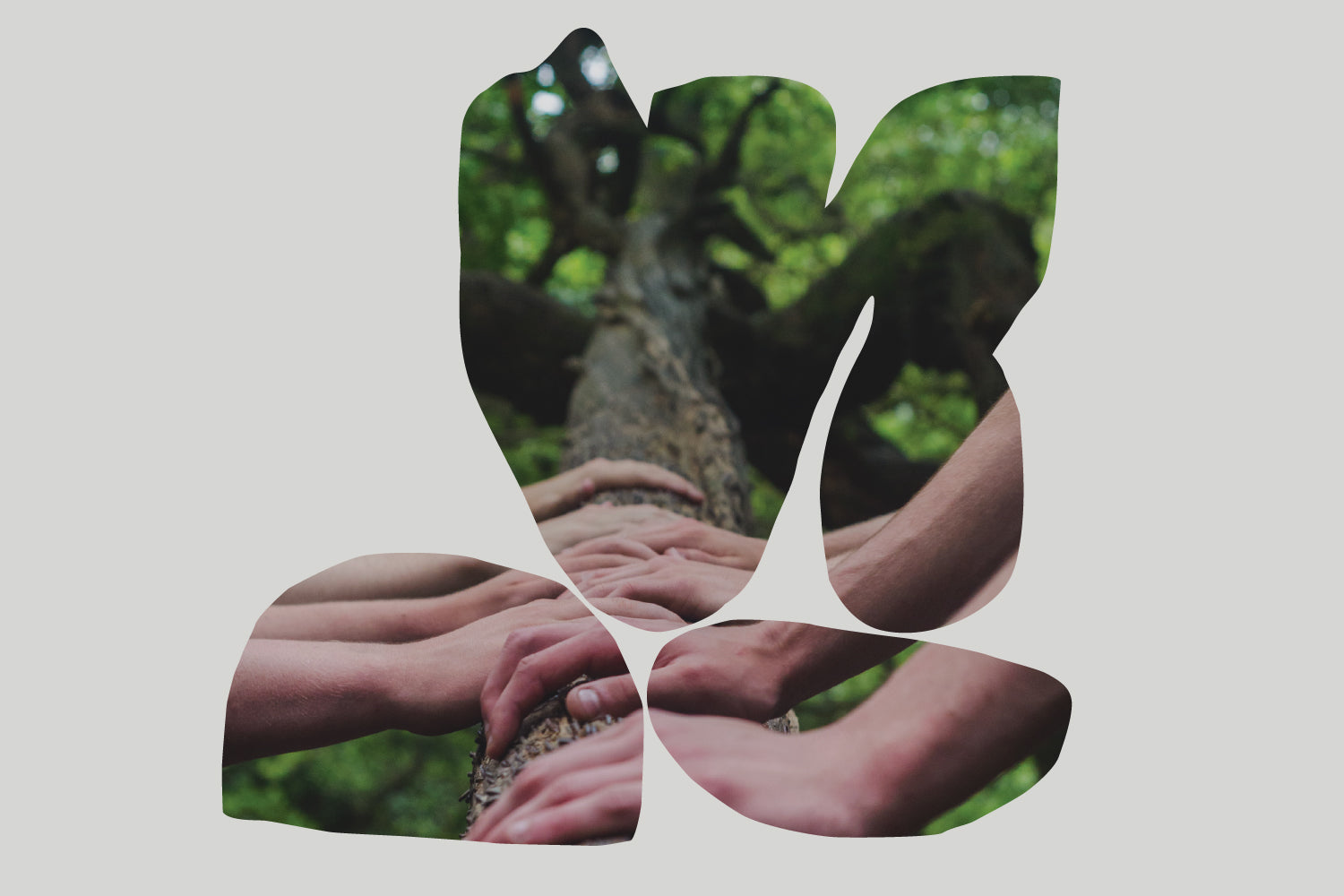 hands holding on a tree