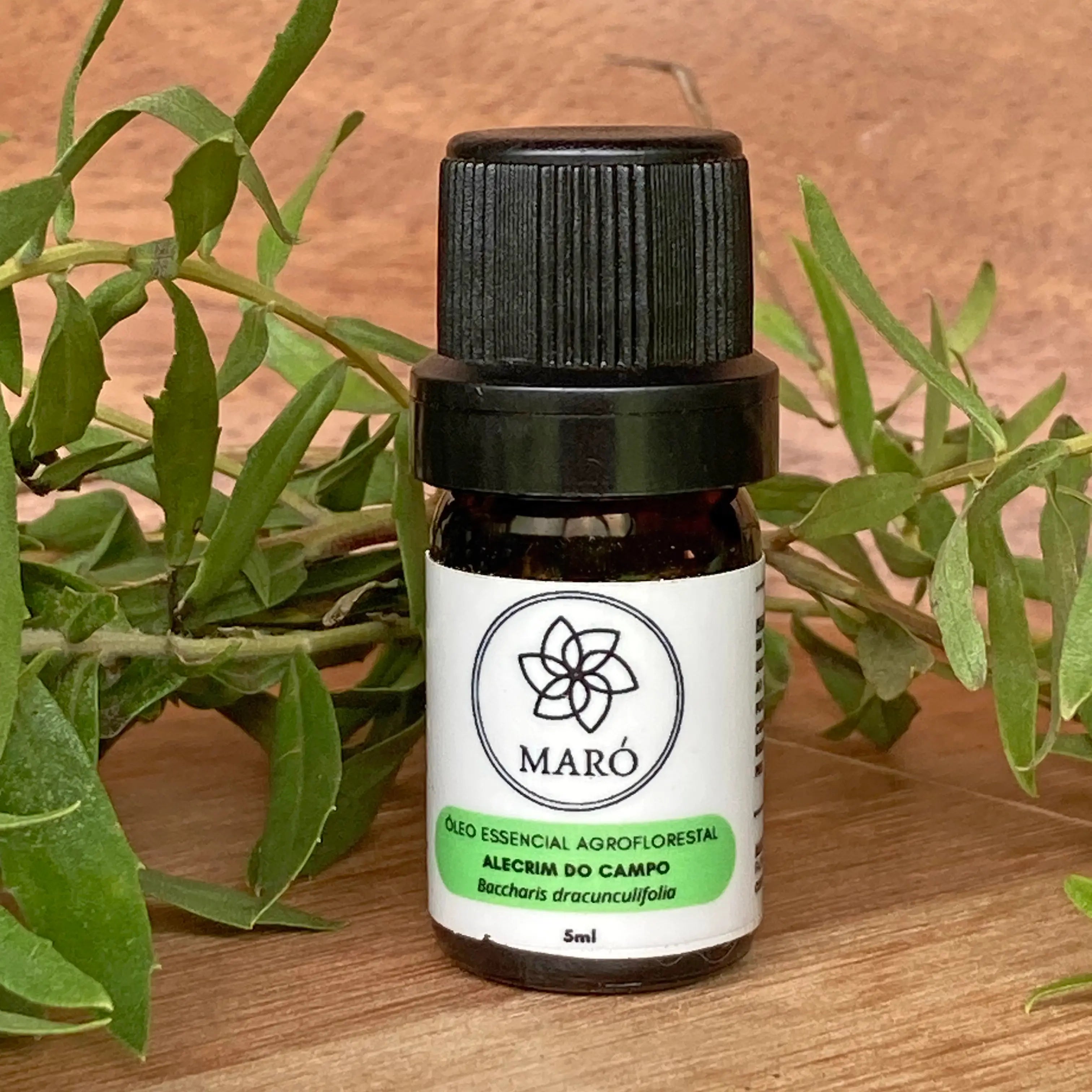 Rosemary Essential Oil from Campo Maró Natural Antiseptic 5ml