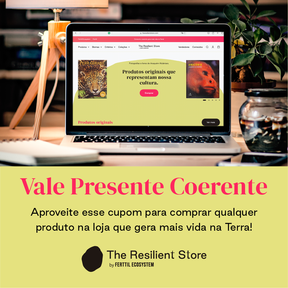 Vale-presente coerente | The Resilient Store Brasil