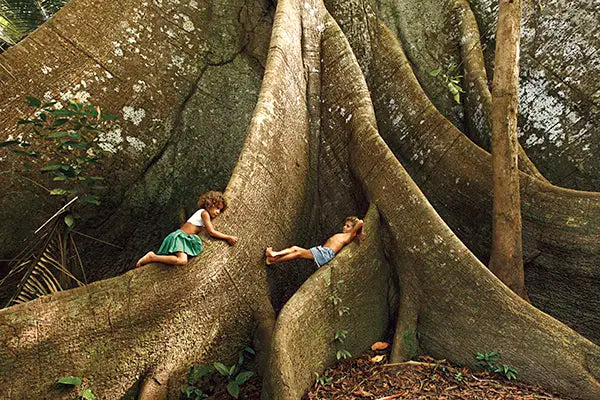 Fotografia: Crianças e árvore Samaúma por Araquém Alcântara