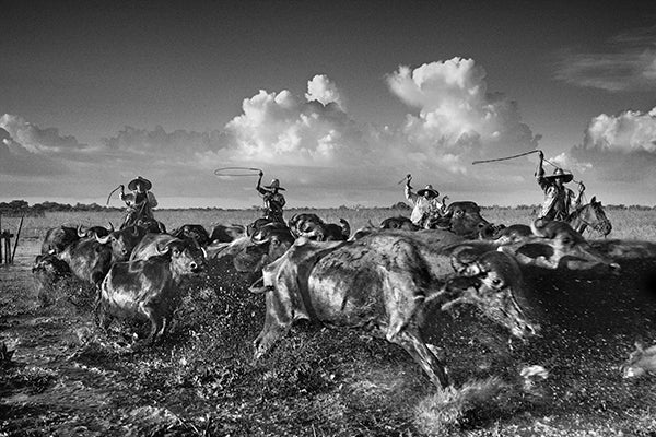 Fotografia: Vaqueiros por Araquém Alcântara