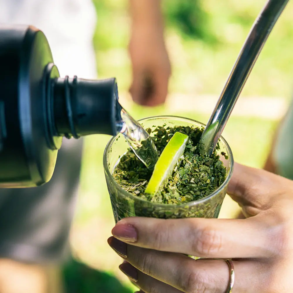 Tereré Pura Folha Mate Guayrá Orgânica e Agroflorestal 300g